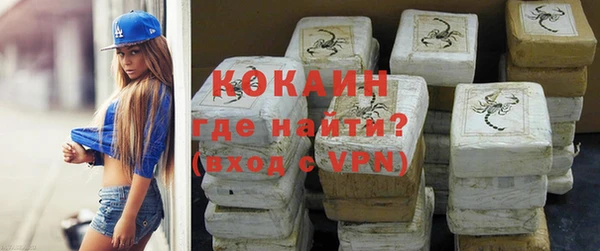 индика Алексеевка