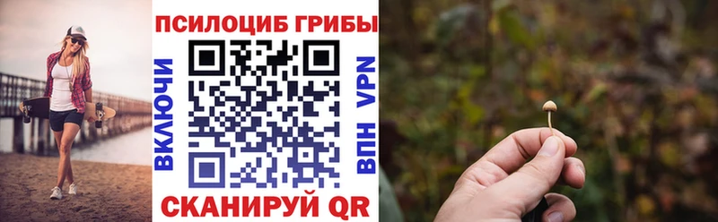 Галлюциногенные грибы Psilocybine cubensis  МЕГА маркетплейс  Дно  сколько стоит 